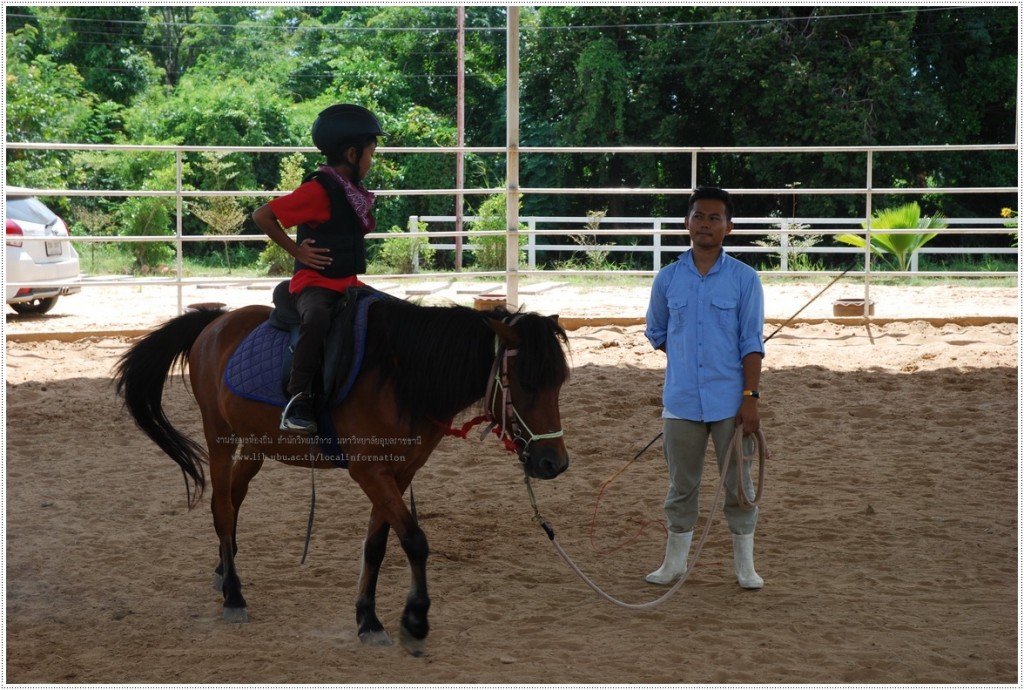กิจกรรมอาชาบำบัดในศูนย์เรียนรู้ม้าและม้าพันธุ์พื้นเมือง หรือ อุบล โพนี่ คลับ