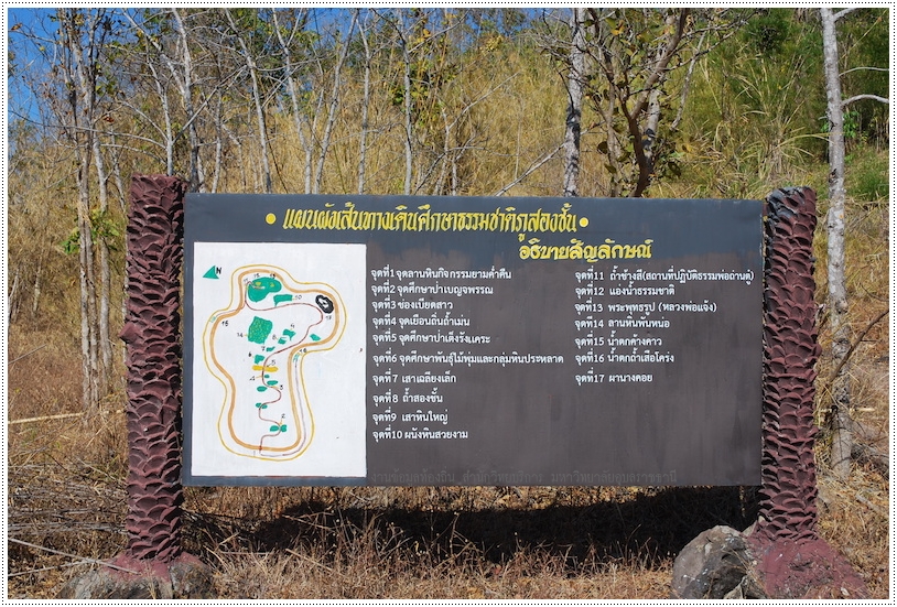 แผนผังเส้นทางเดินศึกษาธรรมชาติภูสองชั้น ซึ่งจะยาวประมาณ 300 เมตร