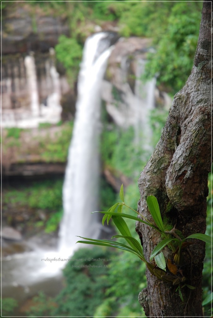 น้ำตกห้วยหลวง-แก่งกะเลา-อุทยานแห่งชาติภูจองนายอย