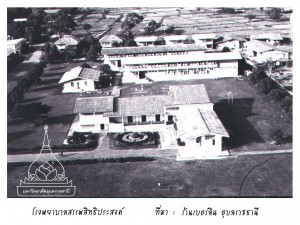 hospital (3)