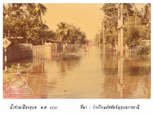 ubon_flood2521_07