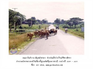 ถนนสายพิบูล-หน้า รร วิจิตรา