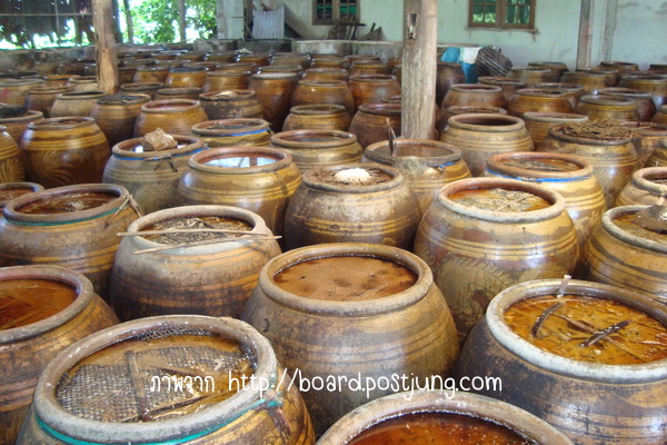 การศึกษาวัฒนธรรมการผลิตอาหารหมักพื้นบ้านในจังหวัดอุบลราชธานี