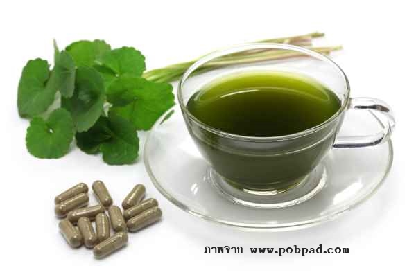 การพัฒนาผลิตภัณฑ์บัวบกเพื่อส่งเสริมอุตสาหกรรมบัวบก จังหวัดอุบลราชธานี