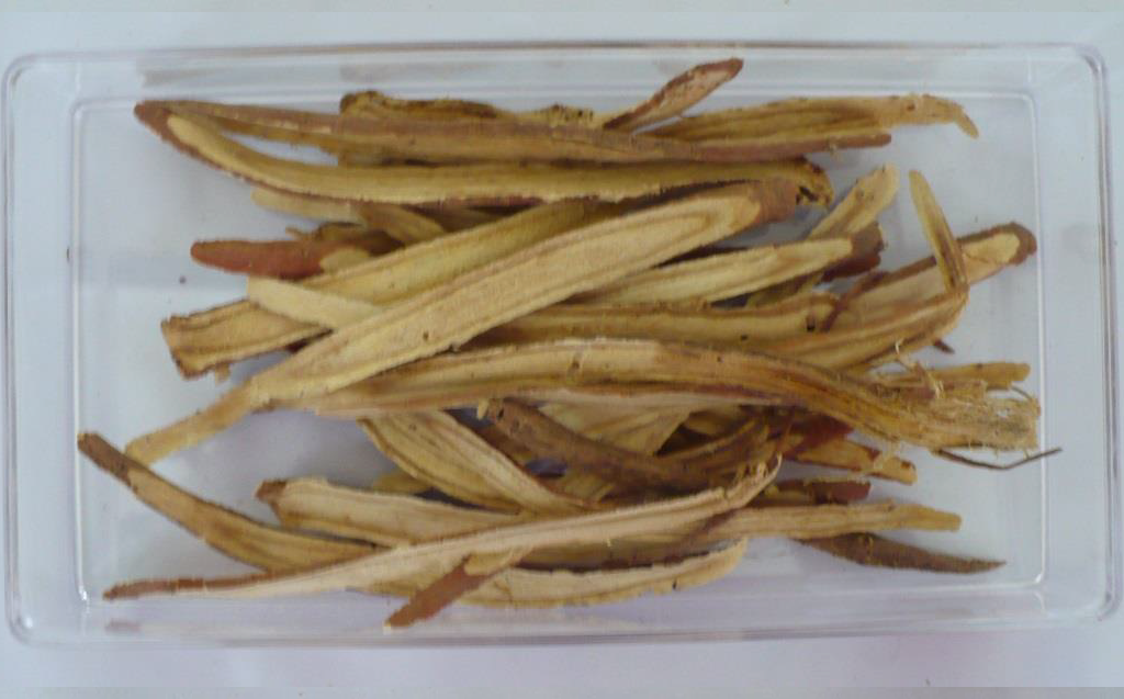 การศึกษาองค์ประกอบทางเคมีของยาสมุนไพรตำรับที่มีการใช้ในเขตอีสานใต้เพื่อเป็นฐานข้อมูลในการควบคุมคุณภาพ