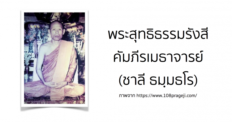 พระสุทธิธรรมรังสีคัมภีรเมธาจารย์ (ชาลี ธมฺมธโร)