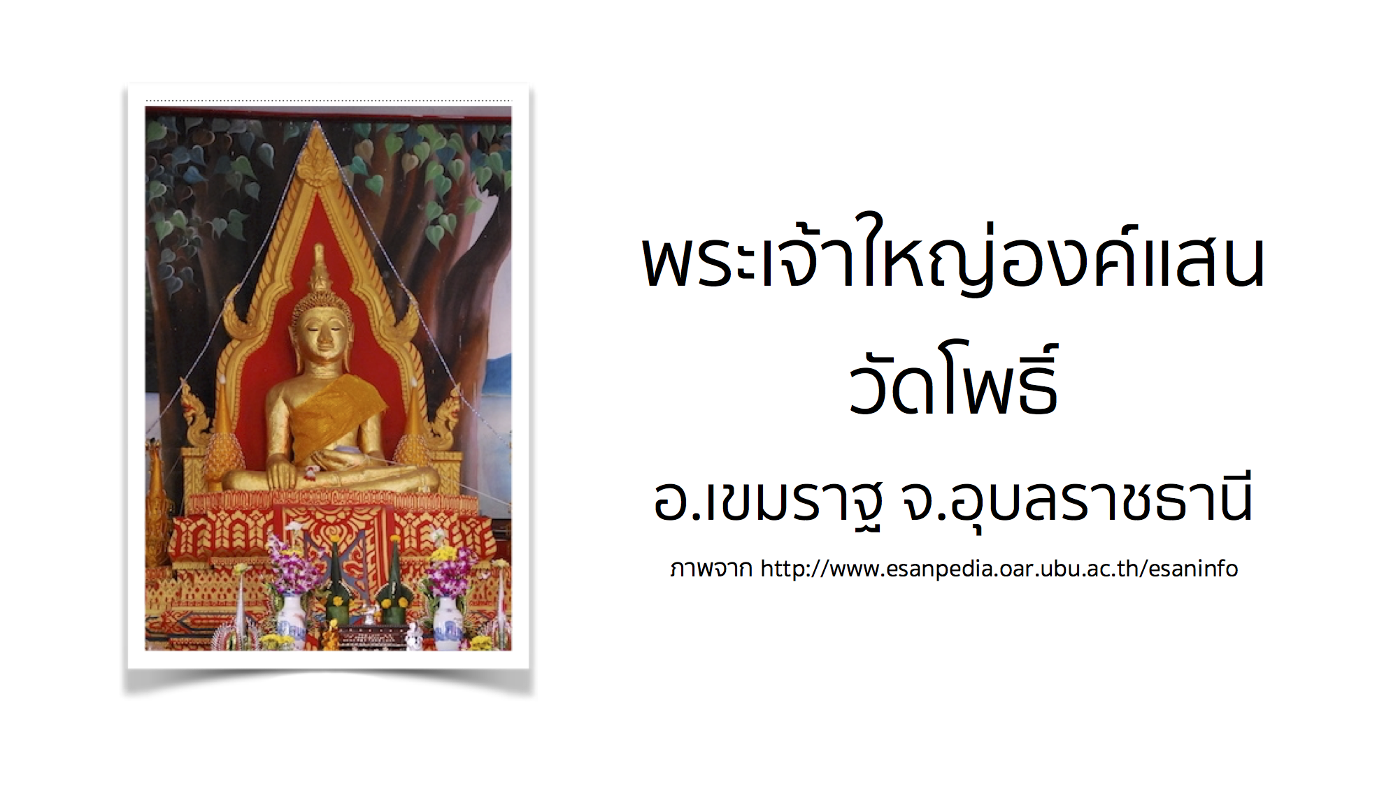 พระเจ้าใหญ่องค์แสน วัดโพธิ์