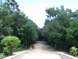 watnongpapong(10).jpg