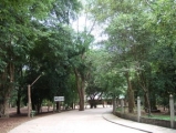 watnongpapong(11).jpg
