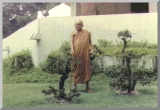 watnongpapong(14).jpg
