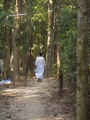 watnongpapong(19).jpg