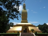 watnongpapong(2).jpg