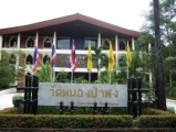 watnongpapong(7).jpg
