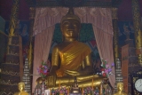 watpaksang(1).jpg