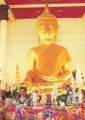 watpaksang(3).jpg