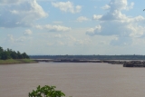 watpaksang.jpg