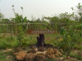 yangnoi(13).jpg