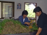 yangnoi(14).jpg