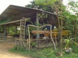 yangnoi(15).jpg