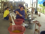 yangnoi(16).jpg