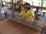 yangnoi(19).jpg