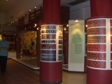 yangnoi(2).jpg