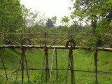 yangnoi(28).jpg