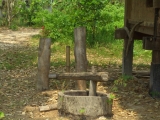 yangnoi(30).jpg