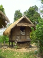 yangnoi(41).jpg