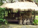 kangtata(1).jpg