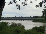 kangtata(3).jpg