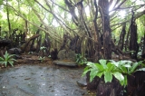 watpasaingam(1).jpg