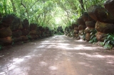 watpasaingam(3).jpg