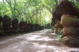 watpasaingam(4).jpg