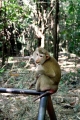 ubonzoo(12).jpg