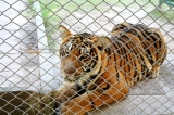 ubonzoo(7).jpg
