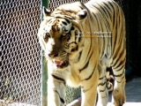 ubonzoo(8).jpg