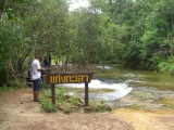 phujong_03.jpg