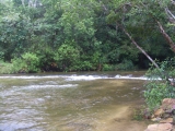 phujong_04.jpg