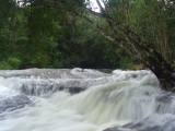 phujong_05.jpg