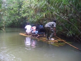 phujong_10.jpg