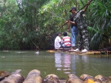 phujong_11.jpg