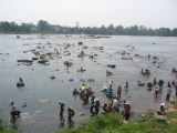 kangsapue(1).jpg