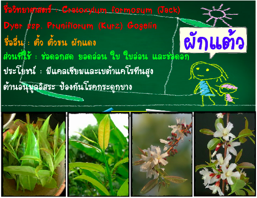 บทเรียนเพื่อการเรียนรู้ด้วยตนเองเกี่ยวกับสารสนเทศท้องถิ่นอุบลราชธานี