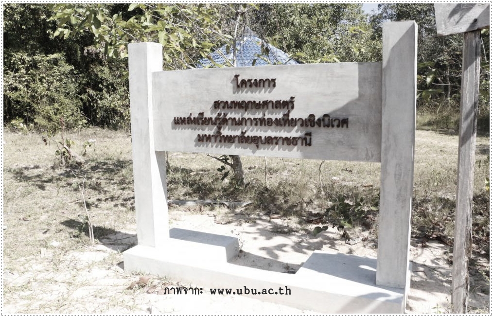 การสำรวจและจัดทำแผนที่พรรณไม้ในสวนพฤกษศาสตร์มหาวิทยาลัยอุบลราชธานี